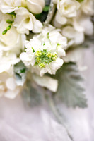 Meghan-Jordan-Details-012