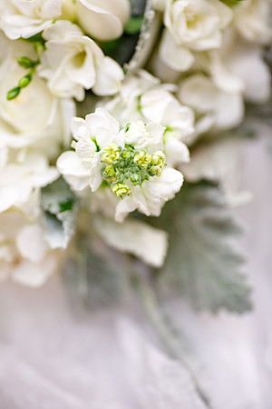Meghan-Jordan-Details-012