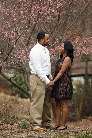 Tomeka-Norman-Engagement-009