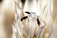 Michelle-Justin-Details-011