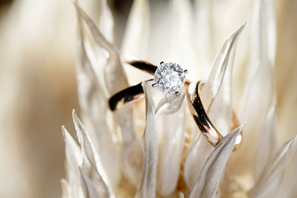 Michelle-Justin-Details-011