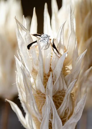 Michelle-Justin-Details-010