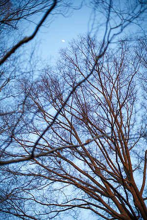 Alyssa-Nathan-Engagement-179