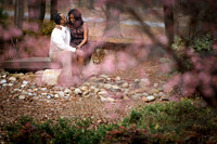 Tomeka-Norman-Engagement-014