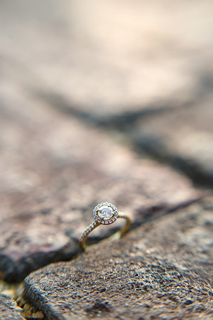 Alyssa-Nathan-Engagement-154