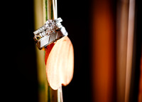 Christine-Vic-Details-008