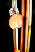 Christine-Vic-Details-007