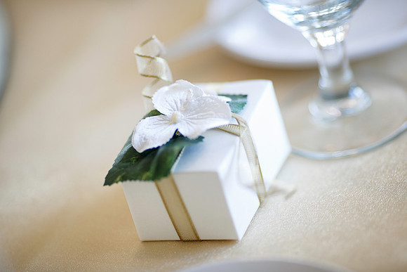 Ashlea-Michael-Details-088