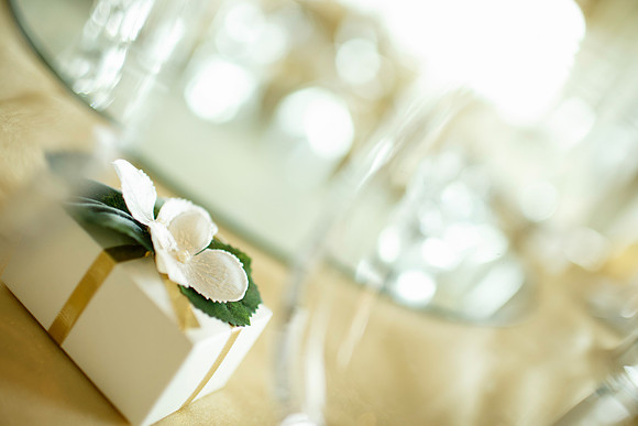 Ashlea-Michael-Details-063