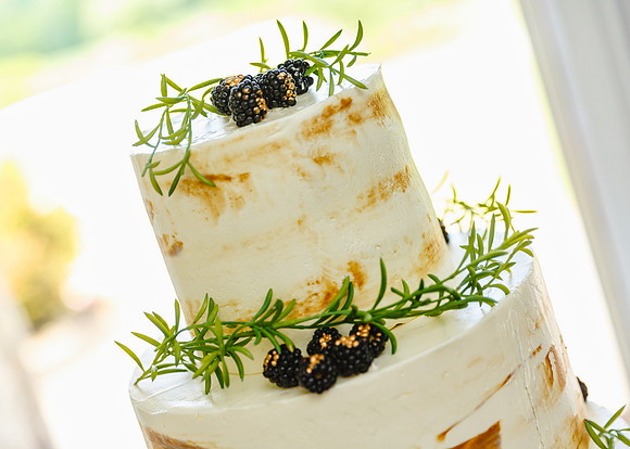 Tara-Eric_Reception-008