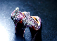 Kaitlin-Michael-Details-009