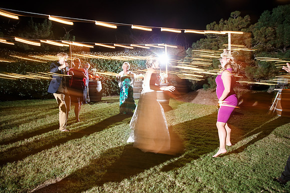 Whitney-Reid-Reception-062