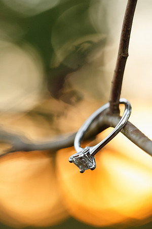 Maria-Ryan-Engagement-033
