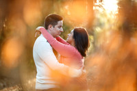 Engagement Session