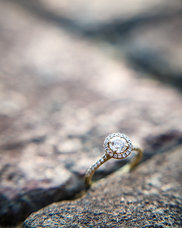 Alyssa-Nathan-Engagement-155