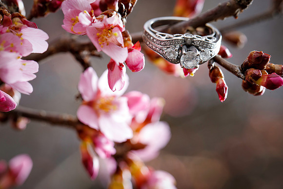 Tomeka-Norman-Engagement-022