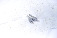 Michelle-David-Details-016