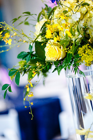 Michelle-David-Details-024