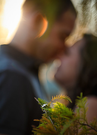 WEB_Kaylee-Dan-Engagement-009