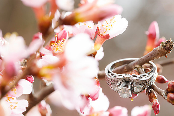 Tomeka-Norman-Engagement-023