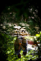 KathleenDionisio-Engagement-005