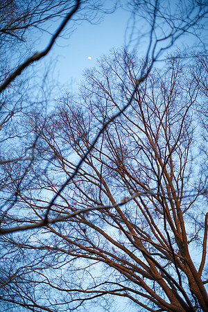Alyssa-Nathan-Engagement-179_web