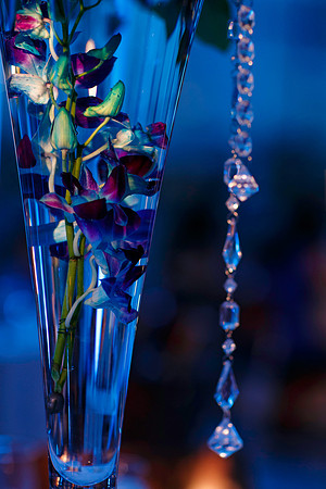 LindsayNory-The_Details-069