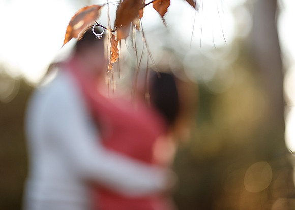 Heidi-Ricky-Engagement-021_web