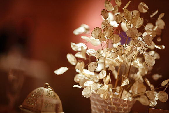 Molly-Tyler-Details-136