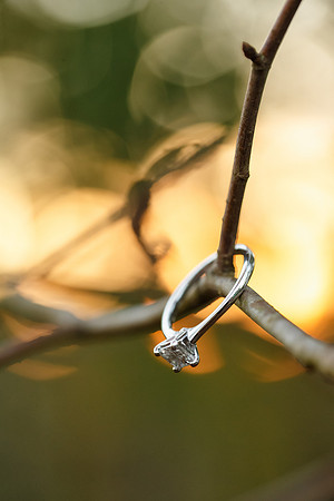 Maria-Ryan-Engagement-032