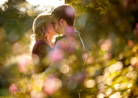 Engagement Session