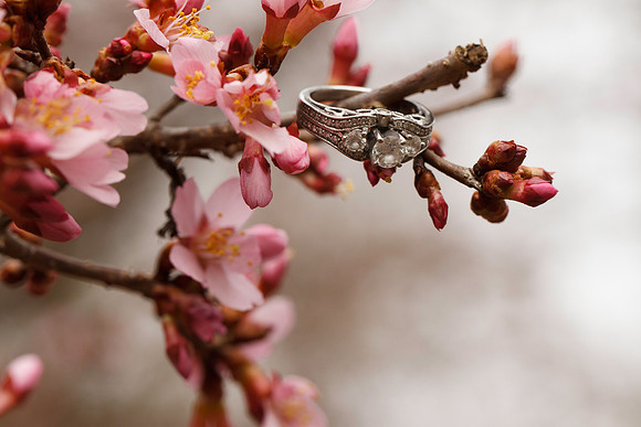 Tomeka-Norman-Engagement-021