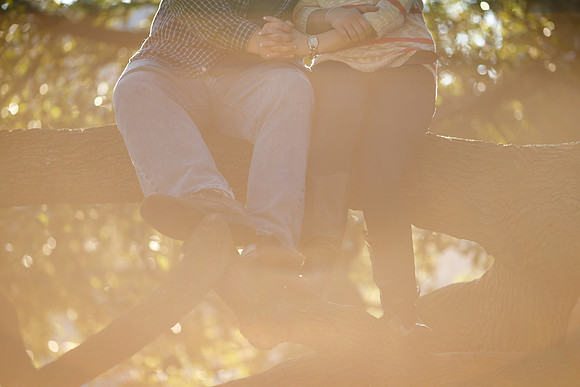 Alyssa-Nathan-Engagement-034
