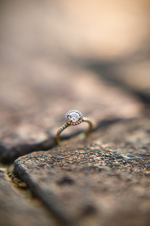 Alyssa-Nathan-Engagement-153
