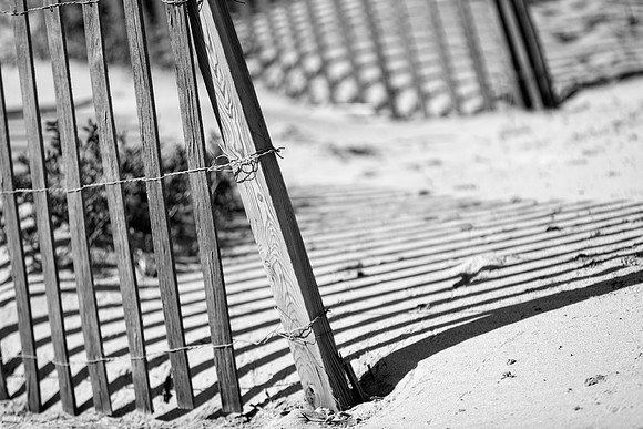 Whitney-Reid-Details-061