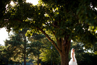 Elyse-Chris-B-G_Portraits-006