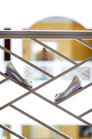 Jenna-Rocky-Details-012