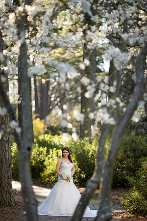 LaurenLiles-Bridal-027