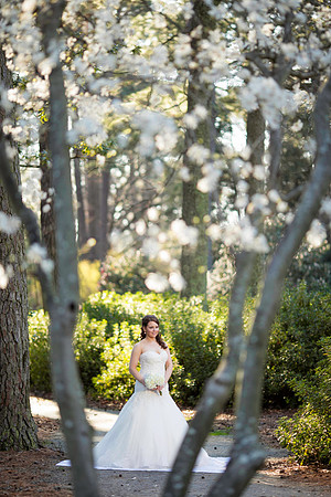 LaurenLiles-Bridal-028