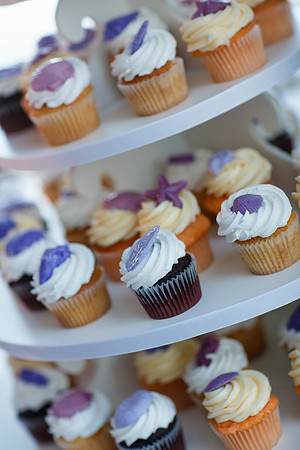 Cristi-Brendan-Reception-110