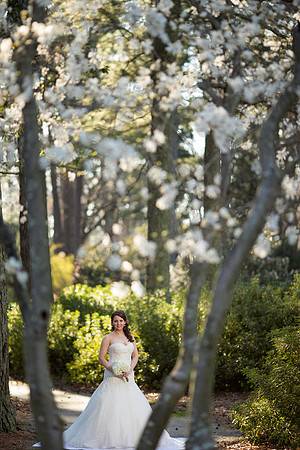 LaurenLiles-Bridal-026