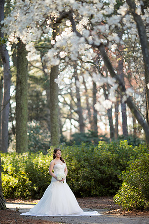 LaurenLiles-Bridal-029