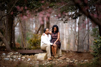 Tomeka-Norman-Engagement-013